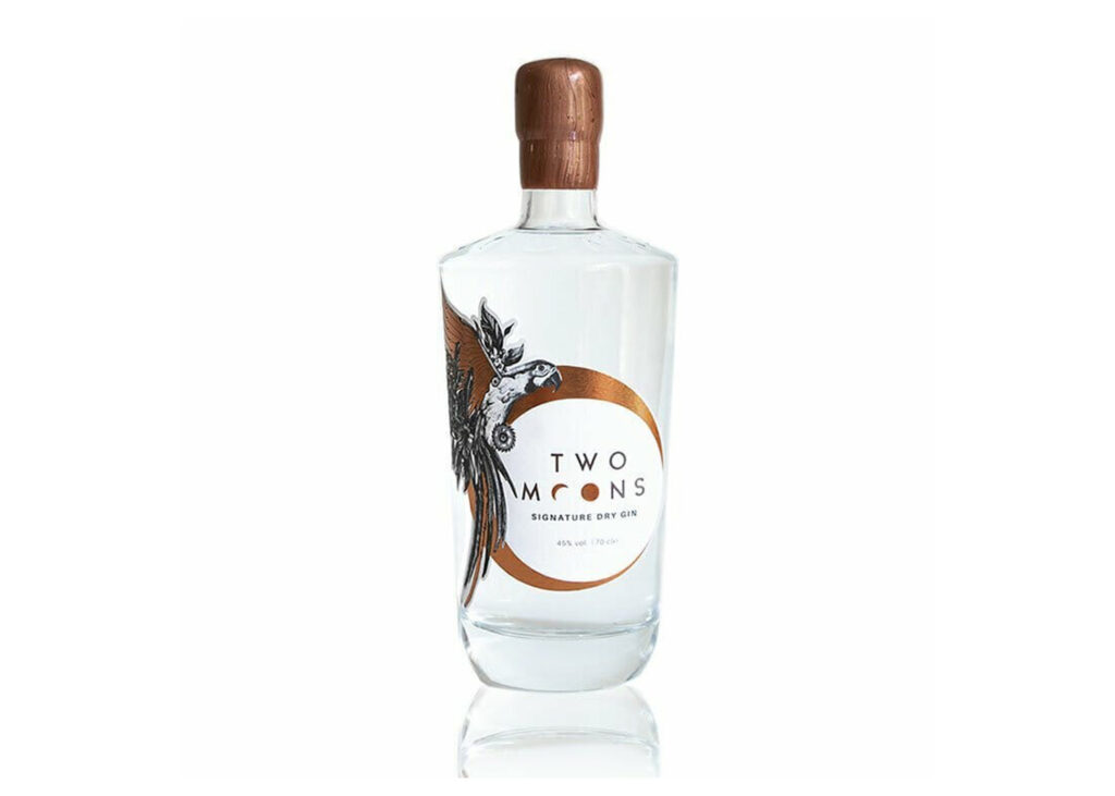 Every Style of Gin Explained — And the 25 Bottles Worth Drinking Right Now