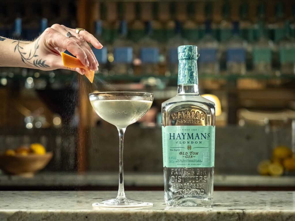 Every Style of Gin Explained — And the 25 Bottles Worth Drinking Right Now