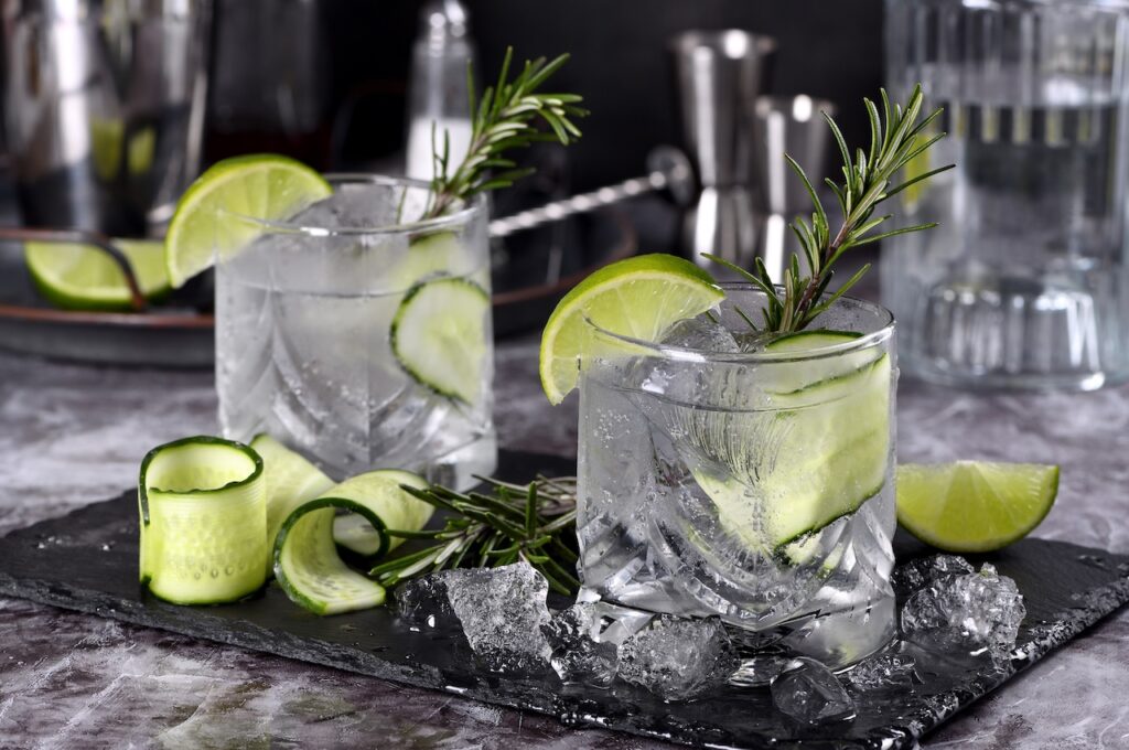 Every Style of Gin Explained — And the 25 Bottles Worth Drinking Right Now