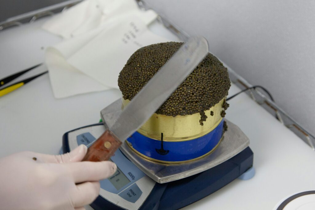 A Gentleman's Guide to Caviar: History, Hierarchy, and How to Eat It Like a Pro